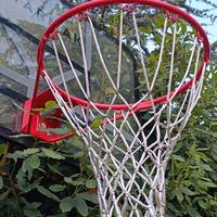 Canestro basket B700 PRO REGOLABILE SENZA ATTREZZI