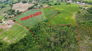 Terreno agricolo