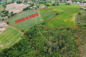 Terreno agricolo