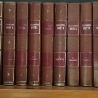 Enciclopedia completa Motta