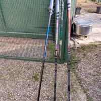 canne da pesca