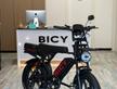 Nuova Bici elettrica  Bicy Vita Offroad