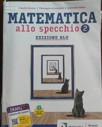 matematica allo specchio 2 ediz blu 9788853806291