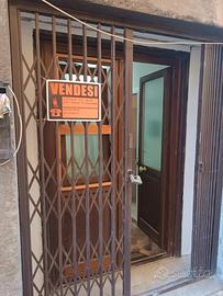 Locale Commerciale - Bagnaia
