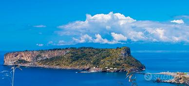 Trilocale nuovo con giardino privato e posto auto