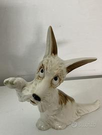 Hutschenreuther porcellana scottish  terrier