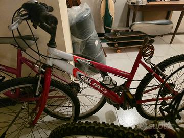 biciclette