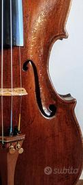 Antico violino fine XIX sec.