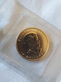 Moneta d’oro Canada Maple Leaf 1/2 Oz – 2013 – Oro