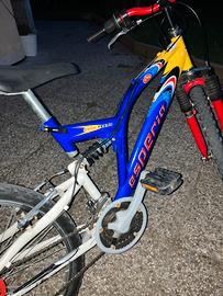 Bicicletta