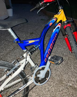 Bicicletta