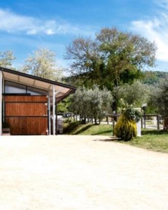 Maneggio provincia di Firenze