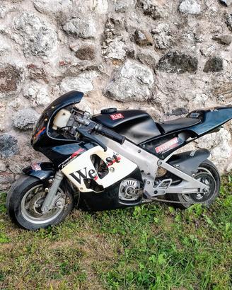 Minimoto 