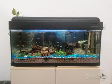 ACQUARIO COMPLETO DA 120L
