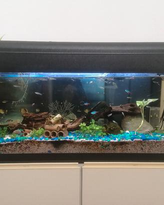 ACQUARIO COMPLETO DA 120L