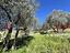 Immagine 12