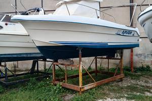 Arvor 20