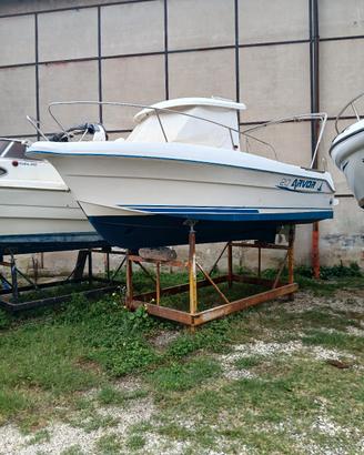 Arvor 20