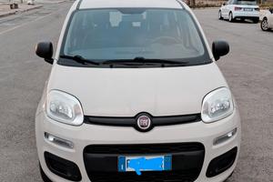 Fiat Panda 1.2 Unicoproprietario Neopatentati