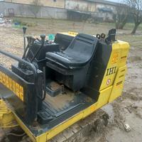 Gotcu Veronica Elena 