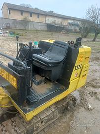 Gotcu Veronica Elena 