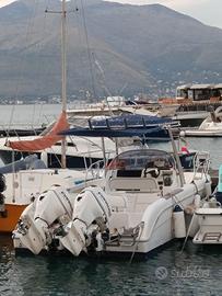 Imbarcazione saver 720