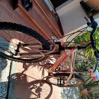 bici MTB 24
