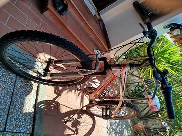 bici MTB 24