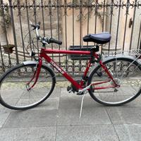 Bici TopBike