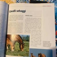 Raccolta Completa il Mondo degli Animali 