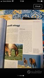 Raccolta Completa il Mondo degli Animali 