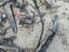 Immagine 23