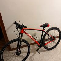 Bici mountain bike specialized