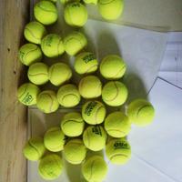 palline da tennis dunlop