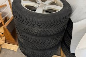 Cerchi in lega +gomme 255 55 r20 nokian wr suv m+s