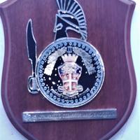 Crest araldici militari 4