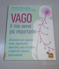 Nervo VAGO + Muscolo PSOAS (nuovi)