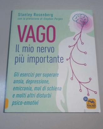 Nervo VAGO + Muscolo PSOAS (nuovi)
