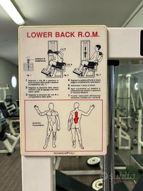 Technogym isotonica Lower Back ROM