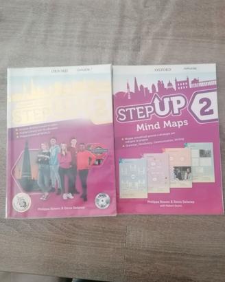 Stepup 2