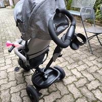 Triciclo evolutivo