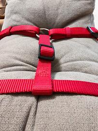 pettorina rosso come nuova x cane taglia media 