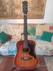 chitarra acustica Eko modello d50 