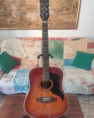 chitarra acustica Eko modello d50 