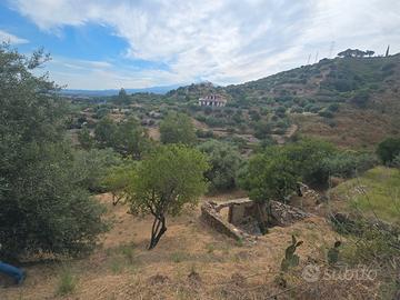 Palì Taormina terreno + uliveto e rudere rustico