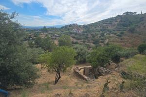 Palì Taormina terreno + uliveto e rudere rustico