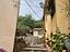 Immagine 11