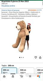 orso peluche gigante 200cm
