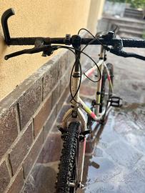 Bicicletta