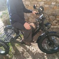 Triciclo elettrico per adulti